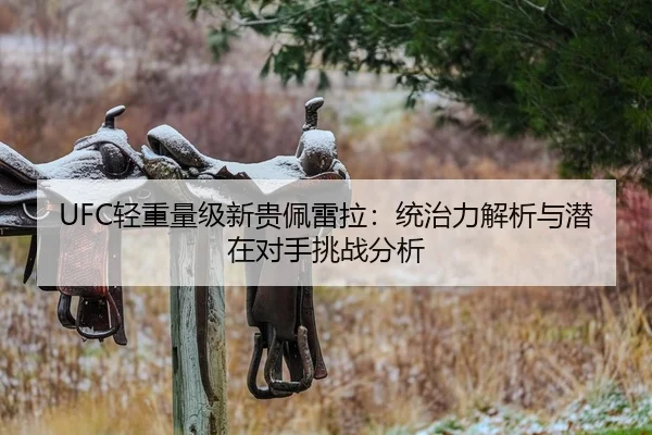 UFC轻重量级新贵佩雷拉：统治力解析与潜在对手挑战分析