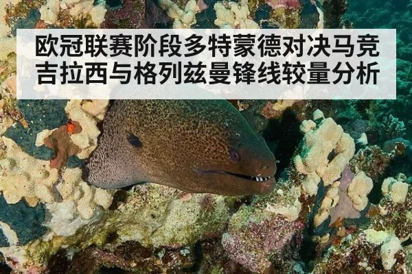 欧冠联赛阶段多特蒙德对决马竞吉拉西与格列兹曼锋线较量分析
